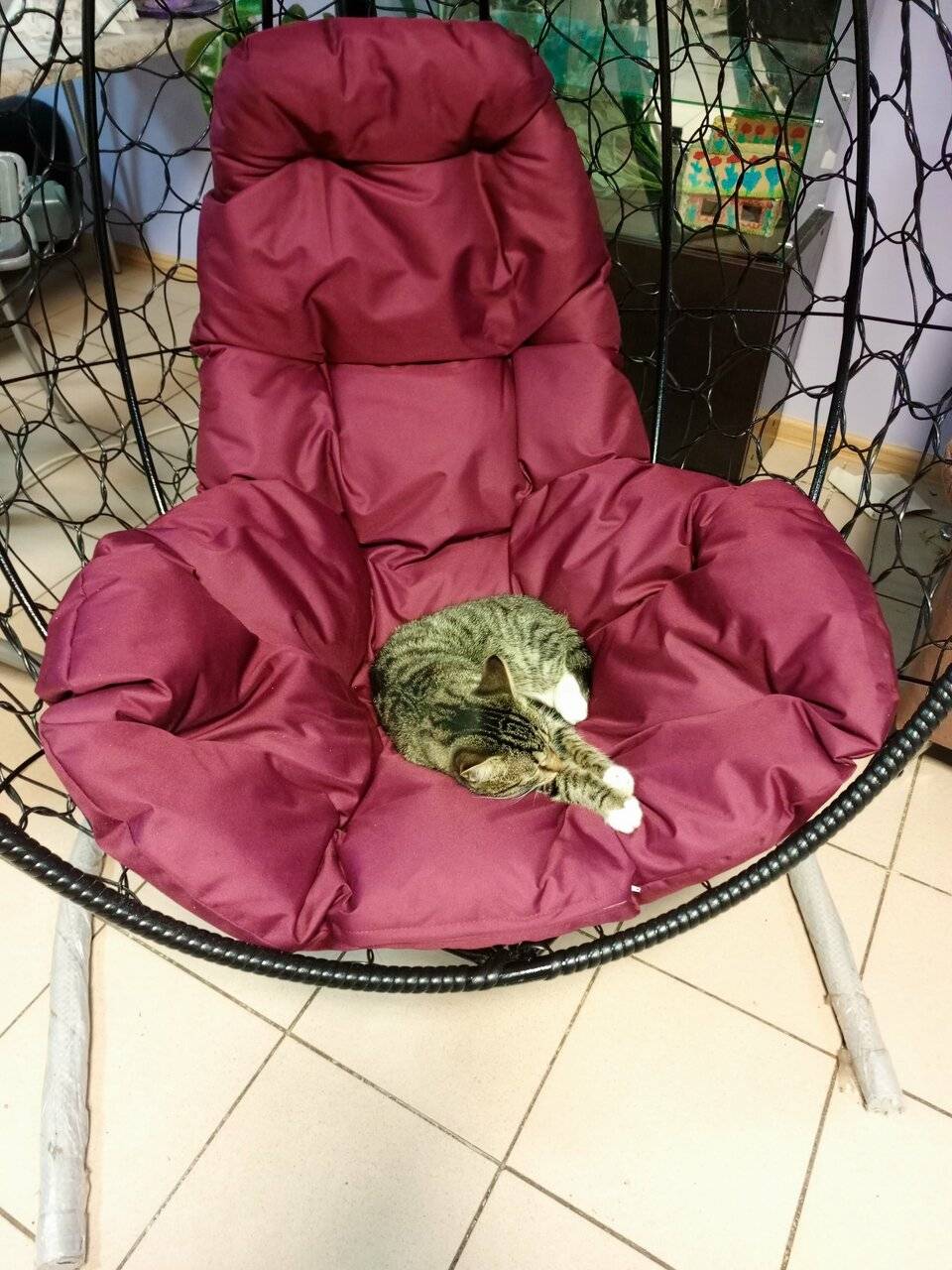 Фото Мини-отеля Флёр Углич 54